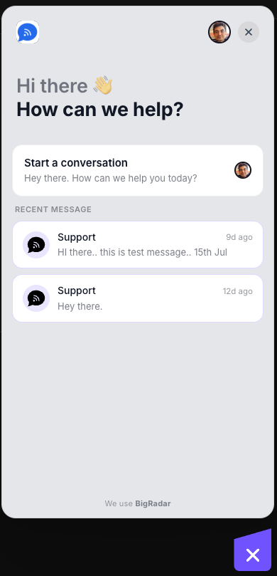 BigRadar messenger widget open on a website with a welcome message